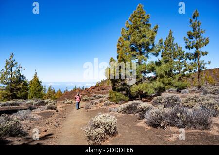 Seniorenkreis beim Wandern entlang des Wanderweges auf der Insel Teneriffa Stockfoto