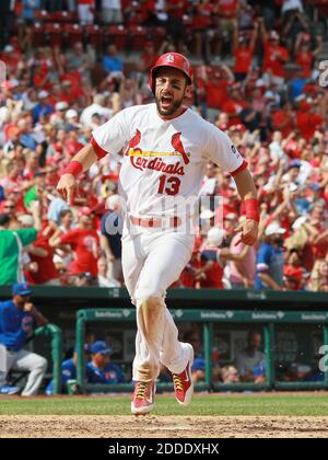 KEIN FILM, KEIN VIDEO, KEIN Fernsehen, KEINE DOKUMENTATION - Matt Carpenter der St. Louis Cardinals reagiert, als er den siegreichen Lauf auf einem Zweilauf-Doppel von Stephen Piscotty im achten Inning gegen die Chicago Cubs am Mittwoch, 9. September 2015, im Busch Stadium in St. Louis erzielt. Die gewonnenen Karten, 4-3. (Chris Lee/St. Louis Post-Dispatch/TNS) Stockfoto