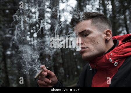 Junger Mann, der im Herbst im Wald steht und Zigarette raucht Stockfoto