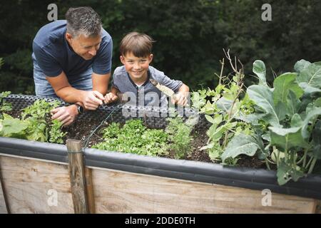 Lächelnder Junge, der vom Vater Gärtnerei lernt, während er sich aufzog Bett im Garten Stockfoto