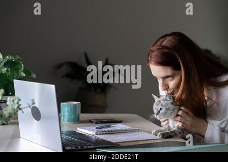 Junge Frau küssen Katze während der Arbeit auf Laptop zu Hause Stockfoto