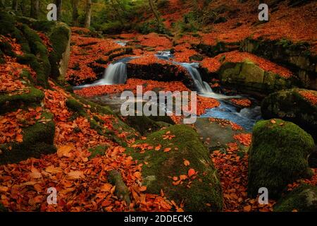 Atemberaubender Bergfluss mit Wasserfall im Herbstwald Stockfoto