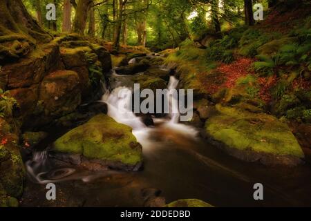 Geheimnisvolle Cloghleagh Creek im Wicklow Mountains-Nationalpark, Irland Stockfoto