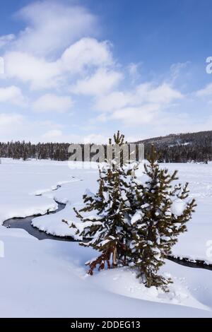 Myriad Creek schlängelt sich durch eine schneebedeckte Wiese auf dem Weg zum Firehole River im Yellowstone National Park, Wyoming, USA. Stockfoto