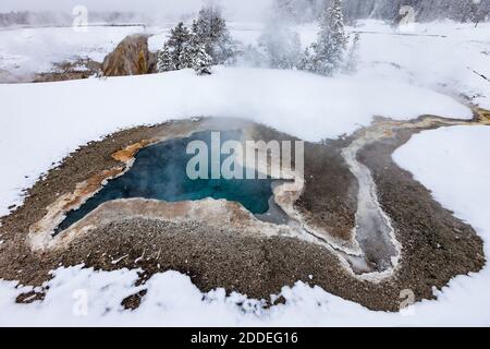 Blue Star Spring dampft an einem kalten Wintertag im Upper Geyser Basin des Yellowstone National Park, Wyoming, USA. Stockfoto