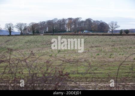 Aylesbury Vale, Großbritannien. November 2020. Das alte Waldgebiet von Jones Hill Woods ist in der Nähe des GrimÕs Grabens abgebildet. Ein großer Teil von Jones Hill Woods, die angeblich Roalds DahlÕs childrenÕs Geschichte inspiriert haben fantastisch Mr Fox, Ist mit drohenden Zerstörung für die umstrittene HS2 High-Speed-Bahn-Projekt bedroht, aber die Arbeit ist derzeit nach der Erhebung von Bedenken von Einzelpersonen und professionelle Ökologen in Bezug auf die Anwesenheit von seltenen barbastelle Fledermäuse im alten Wald angehalten. Kredit: Mark Kerrison/Alamy Live Nachrichten Stockfoto