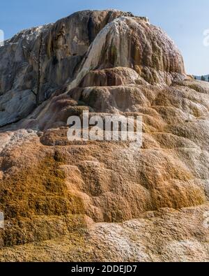 Orange Spring Mound auf den oberen Terrassen von Mammoth Hot Springs, Yellowstone National Park, Wyoming, USA. Stockfoto