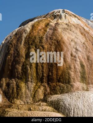 Orange Spring Mound auf den oberen Terrassen von Mammoth Hot Springs, Yellowstone National Park, Wyoming, USA. Stockfoto