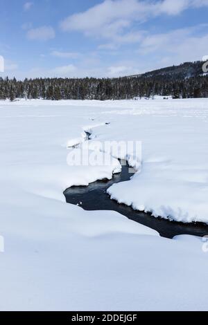 Myriad Creek schlängelt sich durch eine schneebedeckte Wiese auf dem Weg zum Firehole River im Yellowstone National Park, Wyoming, USA. Stockfoto