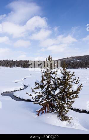 Myriad Creek schlängelt sich durch eine schneebedeckte Wiese auf dem Weg zum Firehole River im Yellowstone National Park, Wyoming, USA. Stockfoto