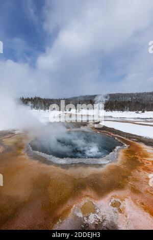 Der Crested Spring sprudelt und dampft an einem Wintertag im Yellowstone National Park, Wyoming, USA, umgeben von einer farbenfrohen thermophilen mikrobiellen Matte. Stockfoto