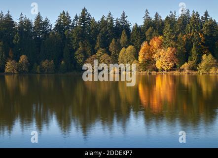 Lost Lagoon Herbst Stanley Park. Stanley Parks Lost Lagoon im Herbst. Vancouver, British Columbia, Kanada. Stockfoto