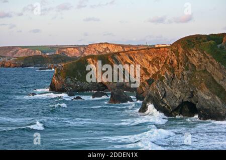 Die untergehende Sonne malt warme Farben auf den Klippen nahe Tolcarne Beach, Newquay in Cornwall, England. Bei Flut stürzen Wellen auf die Felsen. Stockfoto