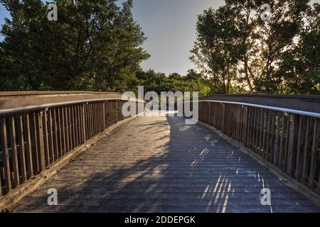 Strandpromenade zum Lovers Key State Park an einem sonnigen Tag in Fort Myers, Florida Stockfoto