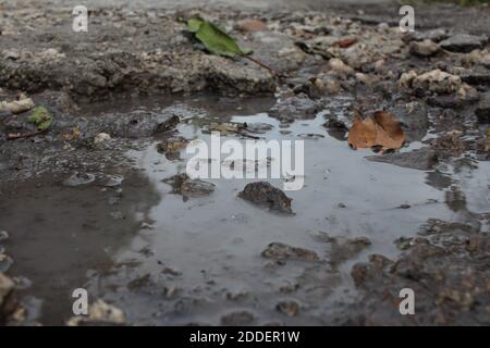 Flache schlammige Pfütze Stockfoto