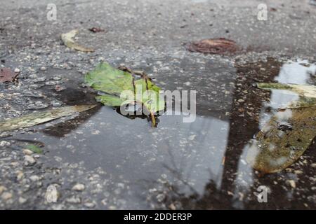 Reflexion durch das Schlagloch Stockfoto