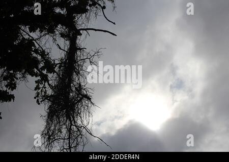 Fotografiert nach einem Sturm in Florida Stockfoto