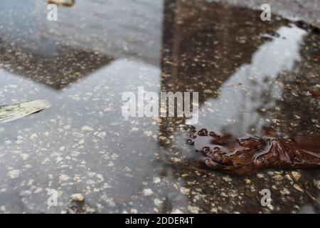 Reflexion in einer Pfütze Stockfoto