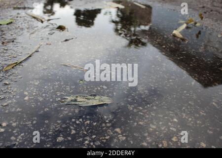 Reflexion in einer Pfütze Stockfoto