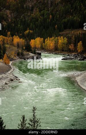 Der türkisfarbene Fluss fließt von den Bergen in einem stürmischen Strom, umgeben von hohen Berggipfeln. Argut Fluss, Altai, Sibirien, Russland. Stockfoto