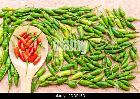 Cayennepfeffer, Chili Spornpfeffer, Long Fed Pfeffer, Spornpfeffer, Chili PADI, Bird's Eye Chili, Bird Chili oder Thai Pfeffer auf Holzstruktur Stockfoto