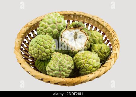 Close up Custard Apfelfrucht auf Korb Bambus isoliert auf weißem Hintergrund.gespeichert mit Clipping Pfad. Stockfoto