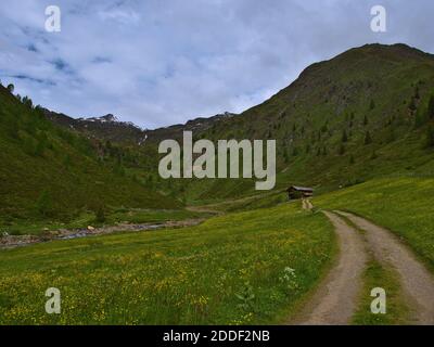 Schönes Alpental mit blühenden Wiesen, Holzhütte und Wasserfall bei Außervillgraten, Österreich. Schneebedeckter Degenhorn-Gipfel im Hintergrund. Stockfoto