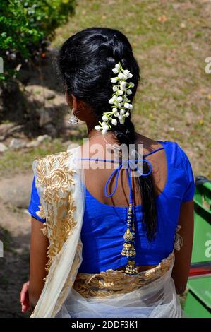 Rückansicht eines schönen Zopf aus schwarzem Haar mit weißen Jasminblüten geschmückt, wie von einem jungen indischen Mädchen in einem blauen und goldenen Sari getragen. Stockfoto