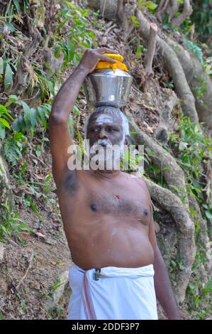 Bärtiger Hindu-Anhänger, der während der traditionellen Thaipusam-Feierlichkeiten eine Milchurne als Opfergabe trägt. Stockfoto