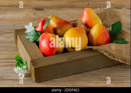 Frische Birnen mit Blättern in einer Holzkiste auf Holz- Hintergrund. Stockfoto