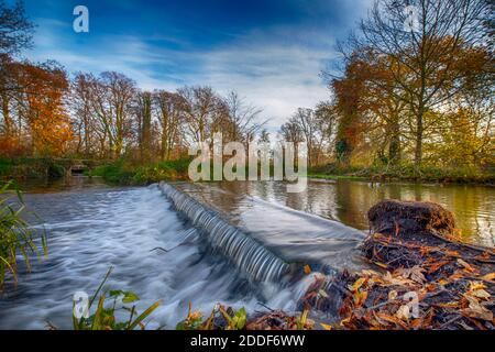 Herbstfarben und trüber Sonnenschein im Morden Hall Park, Südwesten Londons, mit dem Fluss Wandle über einem Wehr. Stockfoto