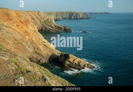 Blick Richtung Süden entlang der Küste von nahe Martins Haven, Pembrokeshire Coast National Park, West Wales. Stockfoto