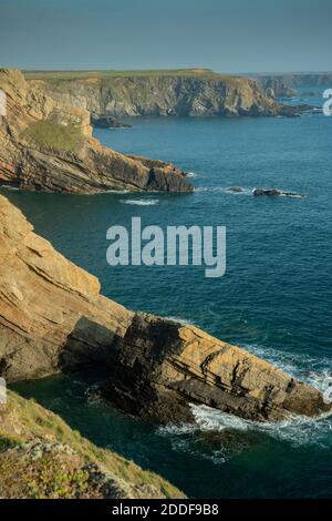 Blick Richtung Süden entlang der Küste von nahe Martins Haven, Pembrokeshire Coast National Park, West Wales. Stockfoto