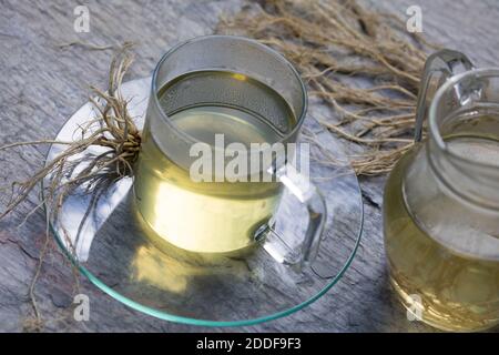 Baldrian-Wurzeltee, Baldrianwurzeltee, Baldrianwurzel-Tee, Tee, Heiltee, Kräutertee, Beruhigungstee, Nerventee, Baldriantee aus Baldrianwurzeln, Baldr Stockfoto