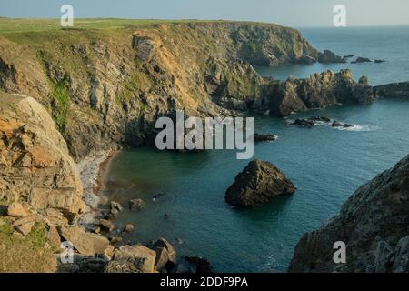 Blick Richtung Süden entlang der Küste von nahe Martins Haven, Pembrokeshire Coast National Park, West Wales. Stockfoto