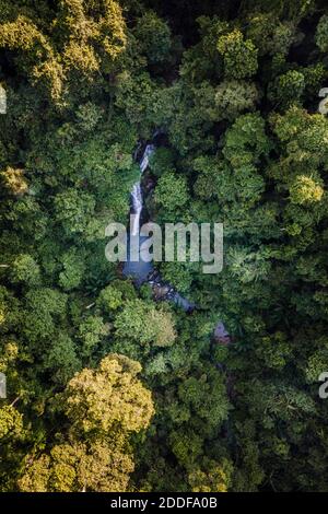 Wasserfall mitten im tropischen Dschungel Stockfoto