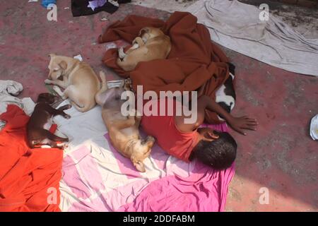 Straßenkinder und Hunde schlafen auf dem Bürgersteig zusammen. Foto aus Sylhet in Bangladesch. Stockfoto