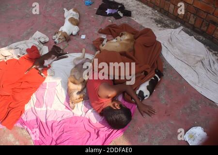 Straßenkinder und Hunde schlafen auf dem Bürgersteig zusammen. Foto aus Sylhet in Bangladesch. Stockfoto