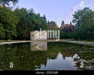 Verlassene schmutzige öffentliche Schwimmbad umgeben von grünen hohen Bäumen. Bäume und Wandspiegelung auf dem schmutzigen grünen Wasser. Herbstliche Blätter fallen. Stockfoto