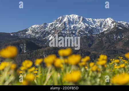Geographie / Reisen, Deutschland, Bayern, Schlehdorf, Herzogstand (Peak) im Frühjahr, Schlehdorf, Obere, Additional-Rights-Clearance-Info-not-available Stockfoto