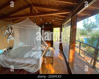 Romantisches ruhiges Holzzimmer mit Meerblick und Bäumen. Hochzeitsanzug für Abgeschiedenheit und Ruhe Urlaub. Zimmer in der Natur isoliert. Stockfoto