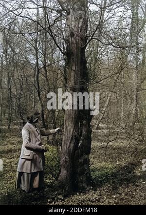 Eine Frau Steht ein Einem Baum Im Park von Brühl bin Schloss, 1920er Jahre Deutschland. Eine Frau von einem Baum im Garten des Schlosses in Brühl, Deutschland der 1920er Jahre. Stockfoto