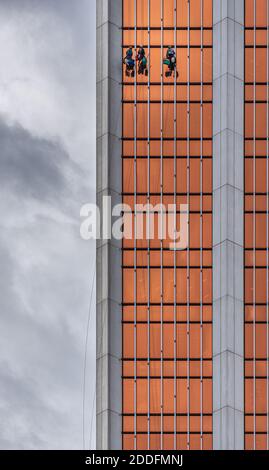 Urban Spidermen - Fensterputzer arbeiten in der Höhe auf der Glasfassade eines Wolkenkratzers Stockfoto