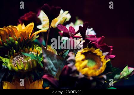 Schöne Blumenstrauß mit dunkelrotem Samt Hintergrund. Romantisches Herbststillleben mit einem Blumenstrauß für eine Grußkarte. Stockfoto