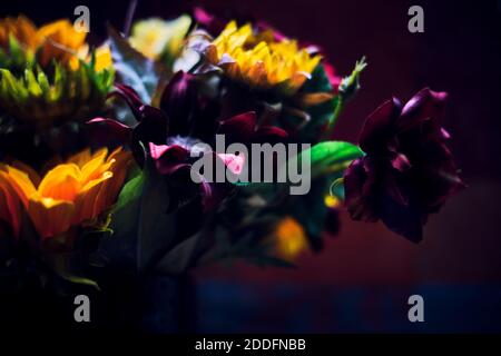 Schöne Blumenstrauß mit dunkelrotem Samt Hintergrund. Buntes Stillleben im Herbst mit einem Blumenstrauß. Stockfoto
