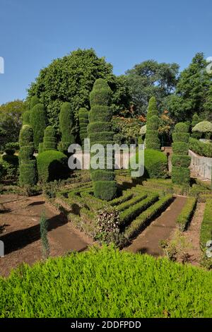 Botanischer Garten - Funchal Madeira Island Stockfoto