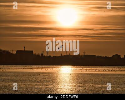 Schöner Sonnenuntergang über dem See Dâmbovița (Lacul Morii) in Bukarest, Rumänien. Stockfoto