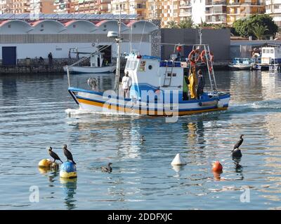 Fischerboot im Hafen von Fuengirola, Provinz Málaga, Andalusien, Spanien. Stockfoto