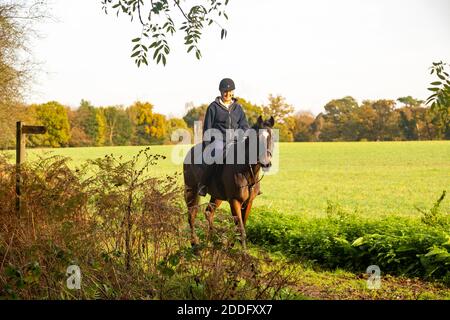 Reiterin auf dem Reitweg, Shottisham, Suffolk, England, UJ Stockfoto