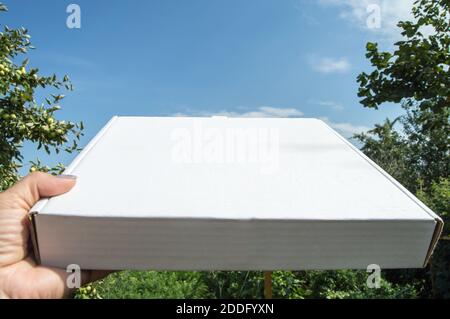 Pizzalieferung. Eine Frauenhand hält einen weißen Karton mit Platz für Text im Freien, im Sommer Stockfoto
